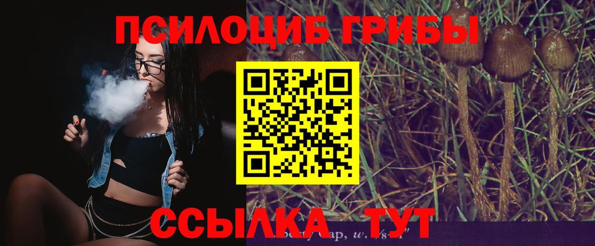 Алатырь  Псилоцибиновые грибы Cubensis  Псилоцибиновые грибы Cubensis  Вход с VPN 